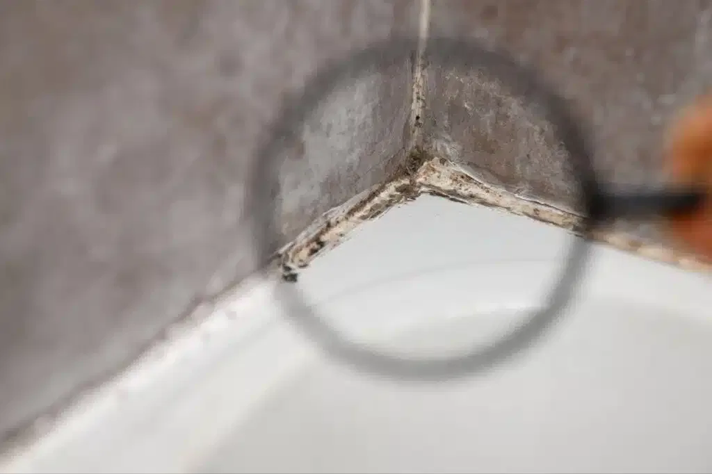 A person examining mold on a bathtub with a magnifying glass for detailed inspection