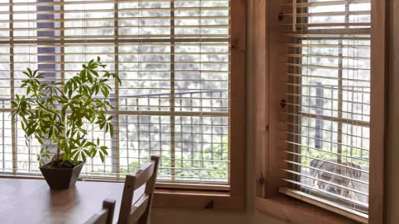 10 Window Treatment Ideas