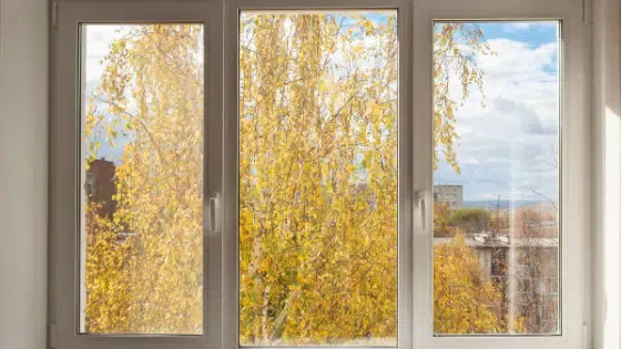 Casement vs. Double Hung Windows