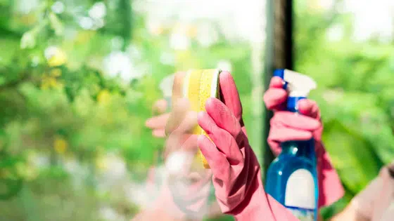 Your Guide To Deep Cleaning Your Windows Inside and Out