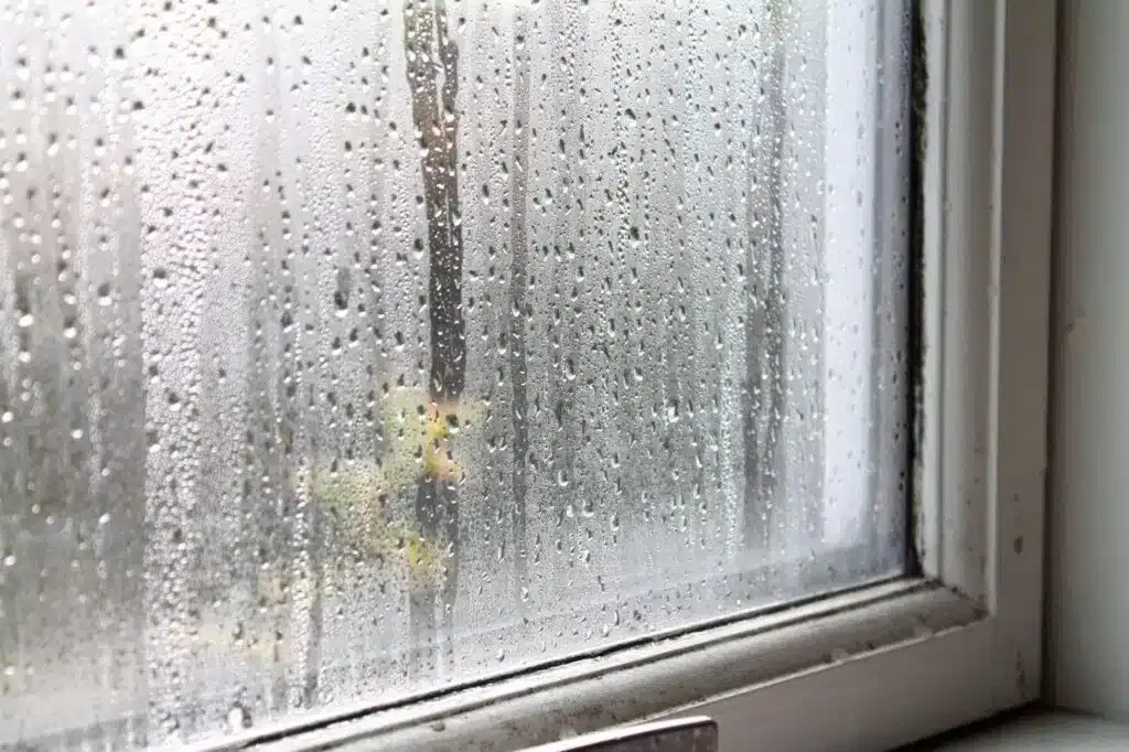 A window covered in raindrops, capturing the essence of a rainy day with a soft, diffused light
