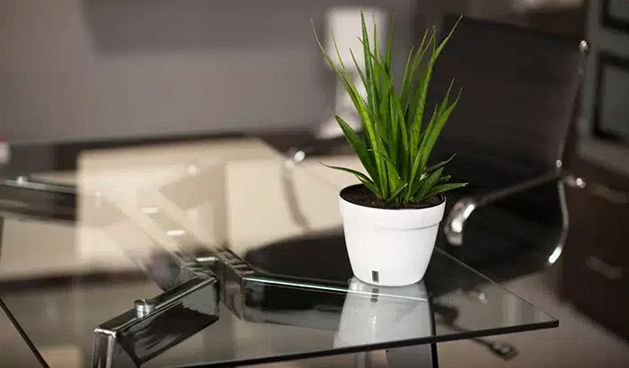 glass-table-with-a-potted-plant,-showcasing-the-elegance-of-glass-furniture-and-its-transparent-allure